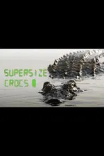 Finding The World's Largest Crocodiles