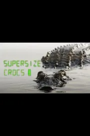 Finding The World's Largest Crocodiles