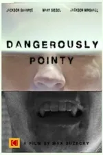 Dangerously Pointy