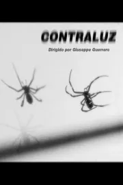 Contraluz