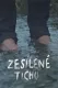 Zesílené ticho