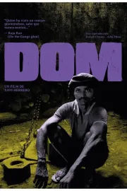 Dom