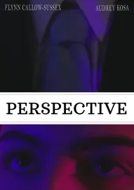 Perspective