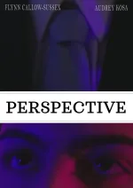 Perspective