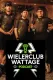 Wielerclub Wattage
