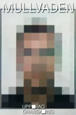 Uppdrag granskning - Mullvaden