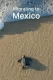 Migrating to Mexico