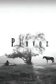 Parvoz