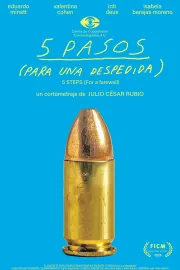 5 PASOS (para una despedida)