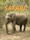 Safari