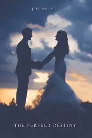 The Perfect Destiny
