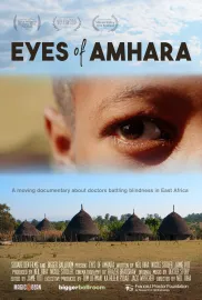 Eyes of Amhara
