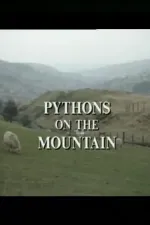 Pythons on the Mountain