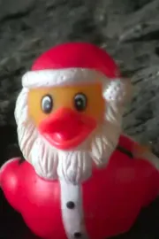 Duck Santa