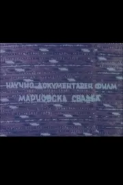 Мариовска свадба