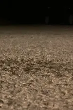 Puževi pažljivo prelaze put 2: Marljivi mravi marširaju (Puževi pažljivo prelaze put nightcore Lenin remix)