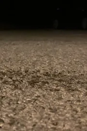 Puževi pažljivo prelaze put 2: Marljivi mravi marširaju (Puževi pažljivo prelaze put nightcore Lenin remix)