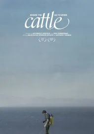 Where the Cattle Go To Drink