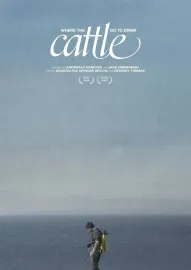 Where the Cattle Go To Drink