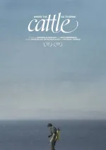 Where the Cattle Go To Drink