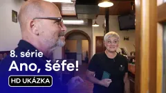Ano, šéfe!: 19. ukázka z 8. série
