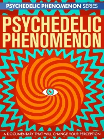 Psychedelic Experiences