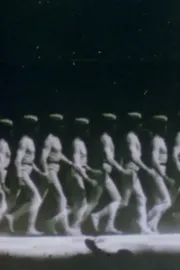 La mémoire de l'oeil E.J. Marey