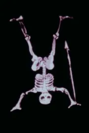 Les lanternes magiques