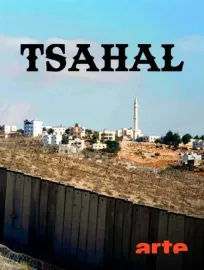Tsahal : L'armée israélienne à l'épreuve