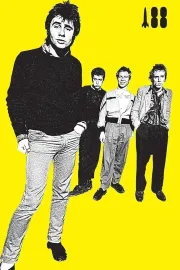 I Was a Teenage Sex Pistol