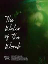 The Water Of The Womb