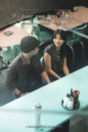 if i ever see you again