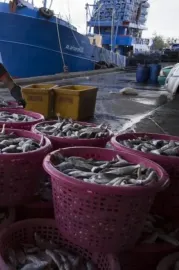 Supermarket slave trail