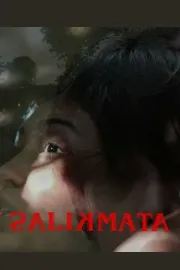 Salikmata