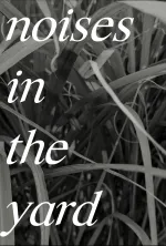Noises In The Yard