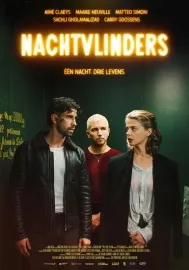 Nachtvlinders