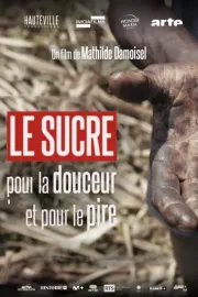 Le sucre, pour la douceur et pour le pire