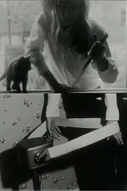 We Hope You Enjoy This Film