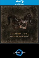 Jethro Tull - Curious Ruminant