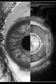 The Past Inside the Present