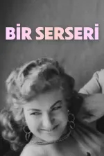 Bir serseri