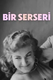 Bir serseri