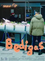 Bedigas