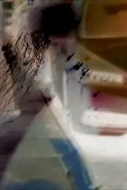 Snow in Headlights II