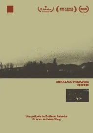 Arrollado Primavera