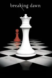 forever: filming breaking dawn part 1