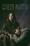 Queen mantis