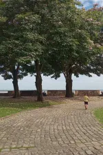 Me levem, nossas manhãs quentes