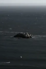 Venezia 70 - Future Reloaded,  Pablo Larrain