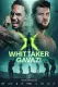 Ben Whittaker vs. Benjamin Gavazi